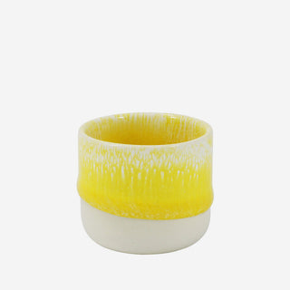 Nip Cup Sun Beam