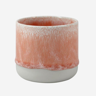 Quench Cup Salmon Stream