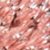 Coral Glitter