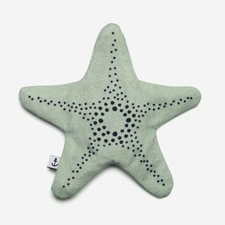 Madagascar Starfish Agua - Case