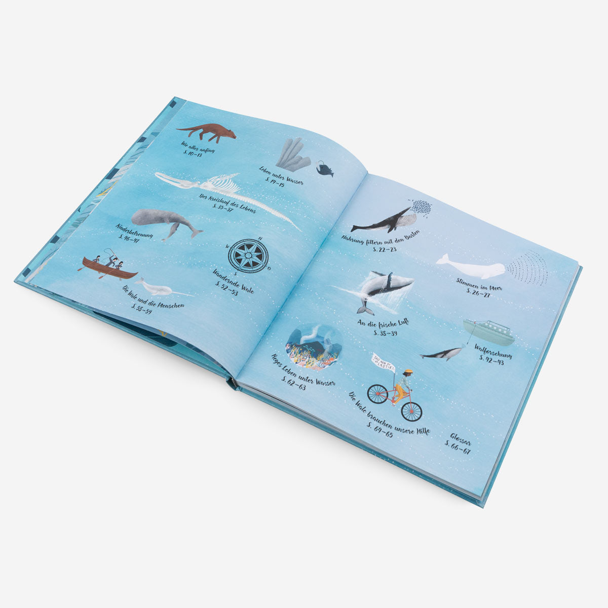 The World of Whales. Children's Book