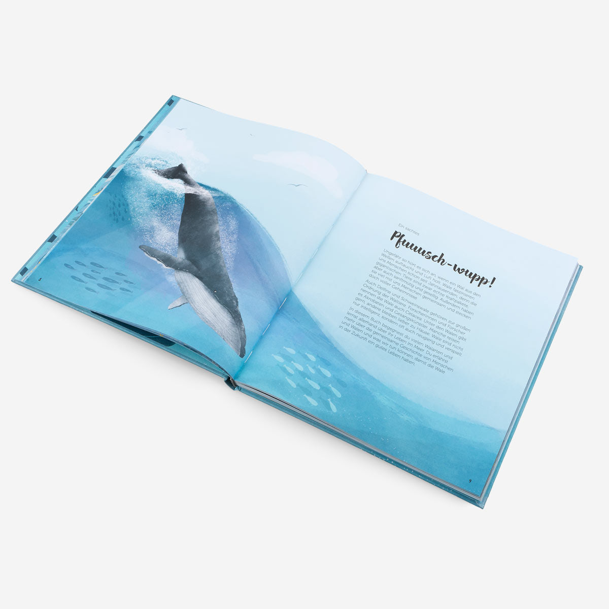 The World of Whales. Children's Book