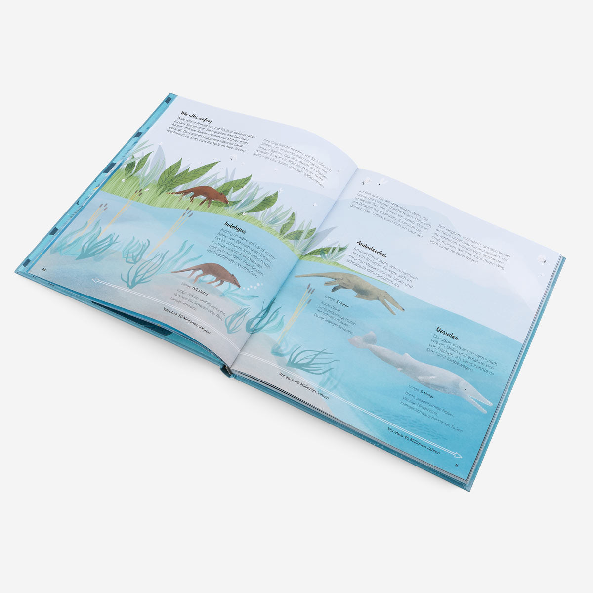 The World of Whales. Children's Book