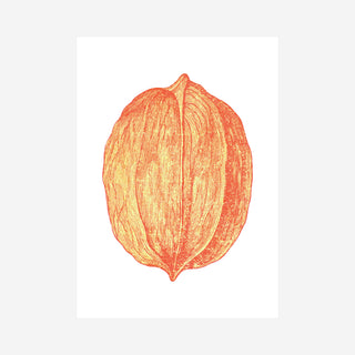 Walnut Riso-Postkarte