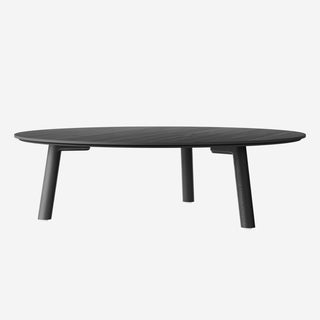 MEYER COLOR coffee table