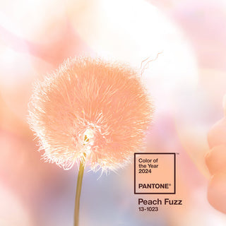 Pantone™ Color of the Year 2024 Peach Fuzz 13-1023 Espresso-Tasse