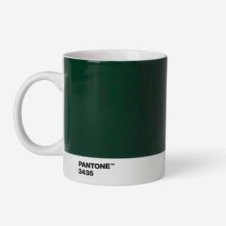 Pantone™ Dark Green 3435 Porcelain Mug