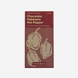 Chocolate Habanero Hot Pepper - Samen