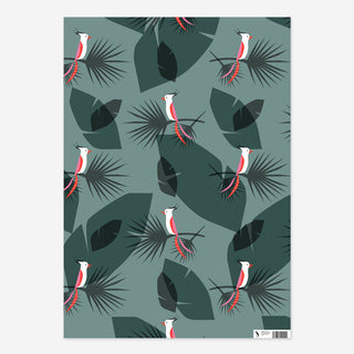 Cockatoo wrapping paper