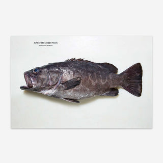 The whole fish - recipes from the fin to the gill. Cookbook