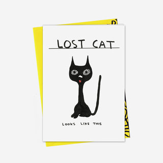 Lost Cat Grußkarte