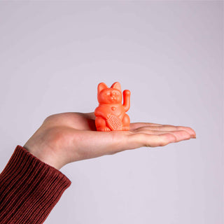 Lucky Cat Solar Neon Orange