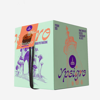 Panettone Yspigro mit Maulbeeren und Vollmilchschokolade