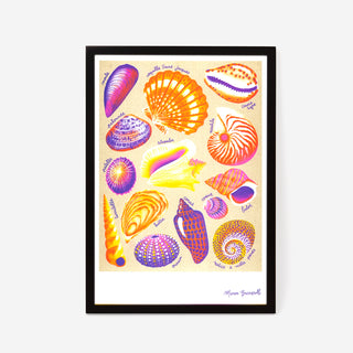 Manon Bucciarelli - Shells Risografie Druck