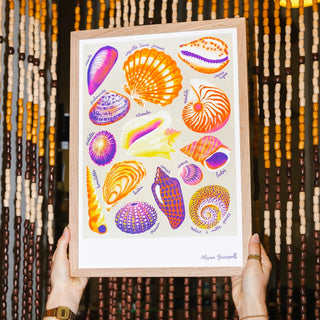 Manon Bucciarelli - Shells Risografie Druck