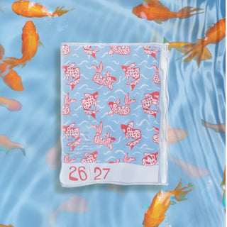 26|27 Diary A6 Patterns