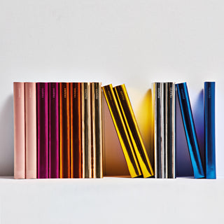 Notizbuch Shiny Starlet S Silver