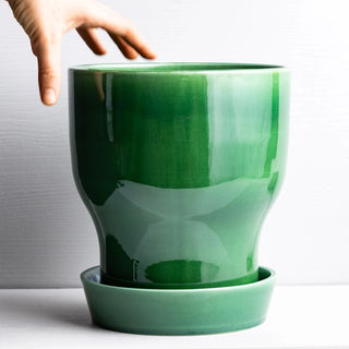 Fnoobie Botanic Pot Large