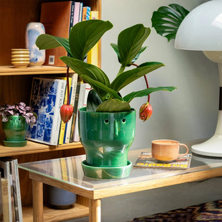 Fnoobie Botanic Pot Large