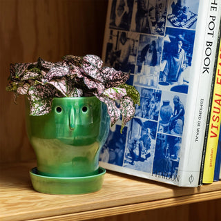 Fnoobie Botanic Pot Small