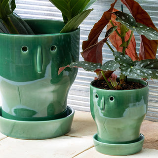 Fnoobie Botanic Pot Small