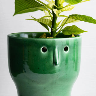 Fnoobie Botanic Pot Small