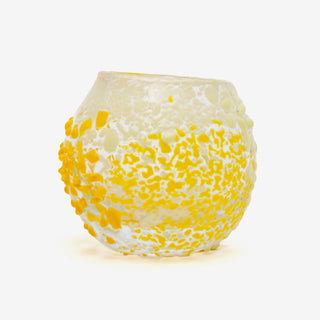 Urchin Bright Sun #3