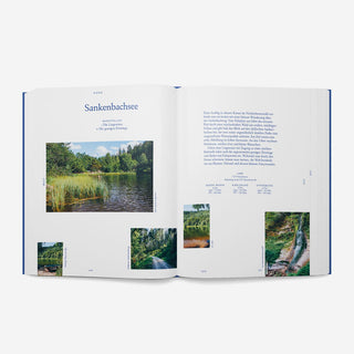 Take Me To The Lakes - Schwarzwald Edition